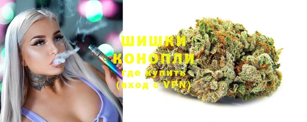 PSILOCYBIN Арсеньев