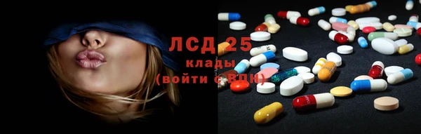 PSILOCYBIN Арсеньев