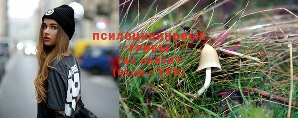 PSILOCYBIN Арсеньев