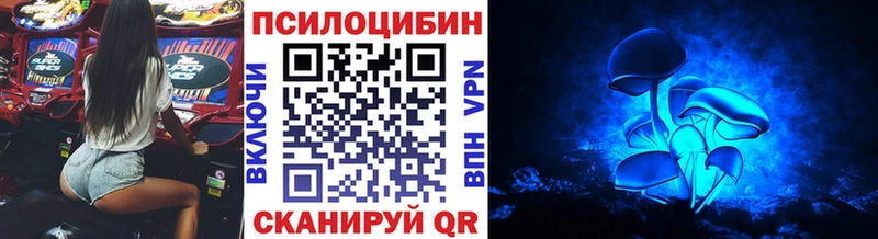 как найти   Барыш  Псилоцибиновые грибы Magic Shrooms 